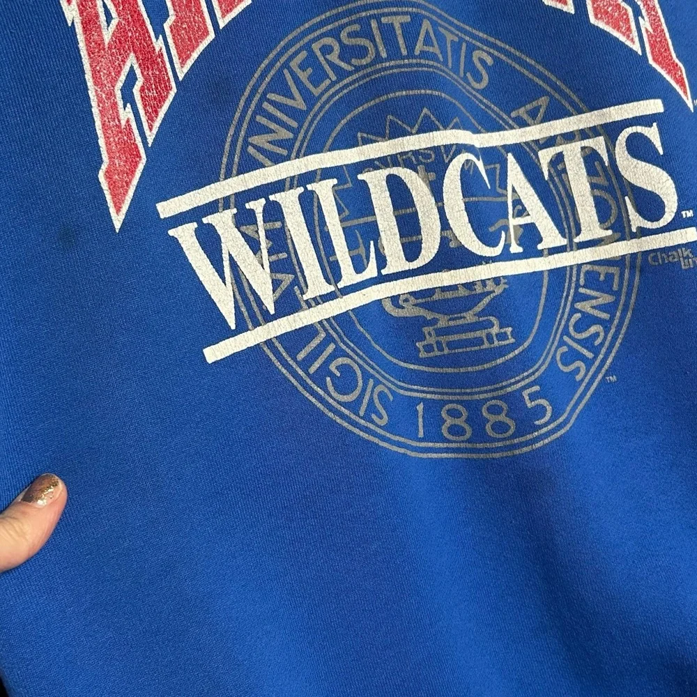 Vintage 90s Arizona Wildcats Crewneck USA Made Hanes Blue L